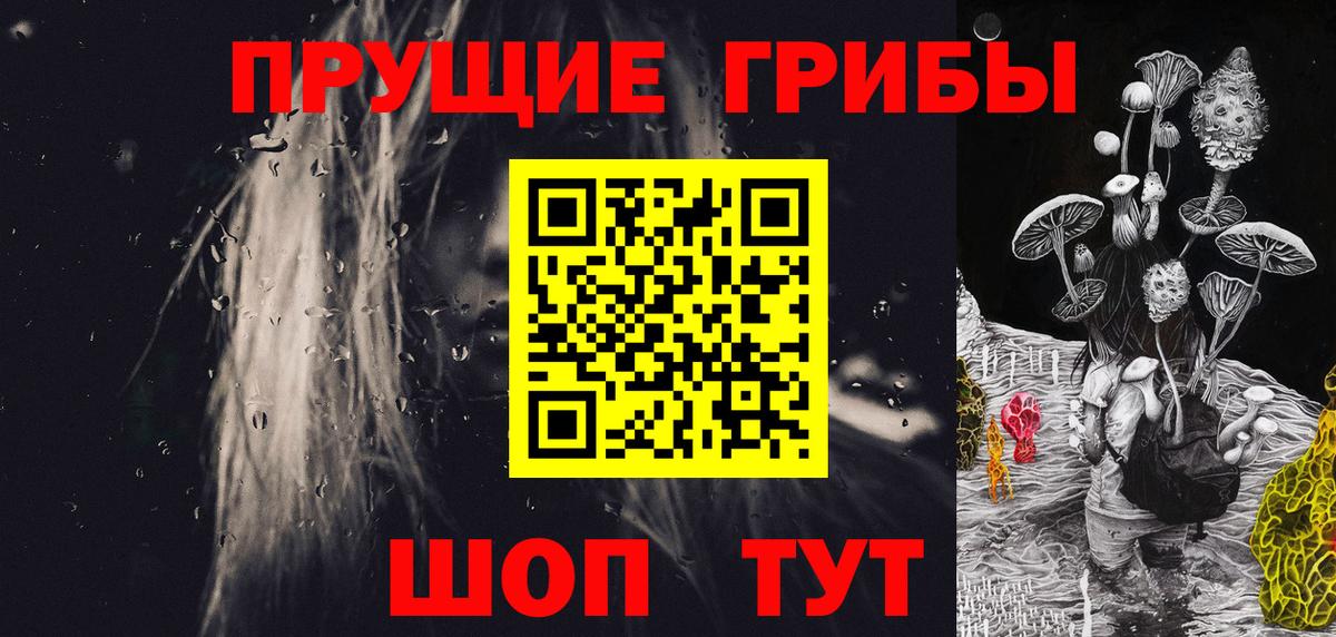 Добрянка  Псилоцибиновые грибы мицелий  Вход с VPN 